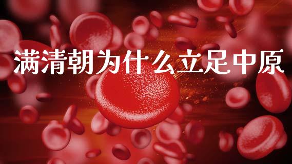 满清朝为什么立足中原_https://wap.hpmsj.cn_财经时评_第1张