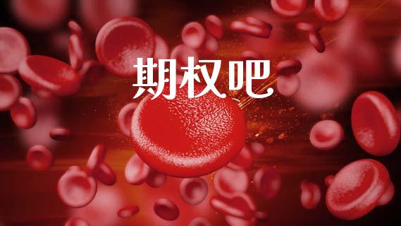 期权吧_https://wap.hpmsj.cn_债券投资_第1张