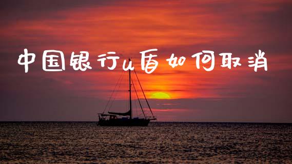 中国银行u盾如何取消_https://wap.hpmsj.cn_债券投资_第1张