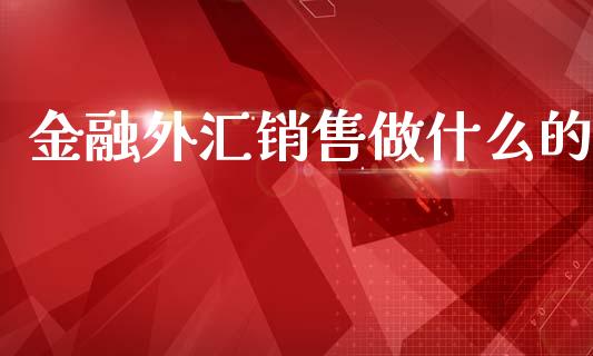 金融外汇销售做什么的_https://wap.hpmsj.cn_基金分析_第1张
