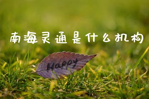 南海灵通是什么机构_https://wap.hpmsj.cn_外汇汇率_第1张