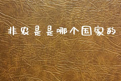 非农是是哪个国家的_https://wap.hpmsj.cn_外汇汇率_第1张