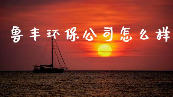鲁丰环保公司怎么样_https://wap.hpmsj.cn_期货交易_第1张