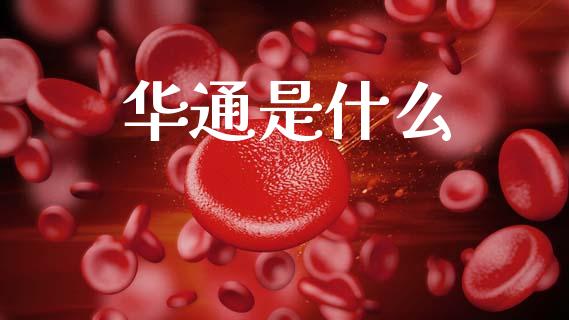 华通是什么_https://wap.hpmsj.cn_期货交易_第1张