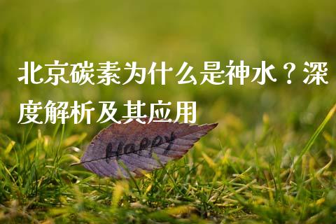 北京碳素为什么是神水？深度解析及其应用_https://wap.hpmsj.cn_债券投资_第1张
