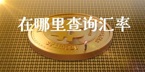 在哪里查询汇率_https://wap.hpmsj.cn_基金分析_第1张