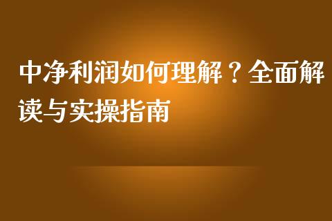中净利润如何理解？全面解读与实操指南_https://wap.hpmsj.cn_期货交易_第1张