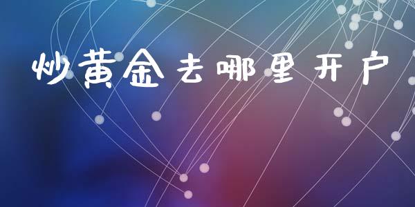 炒黄金去哪里开户_https://wap.hpmsj.cn_外汇汇率_第1张