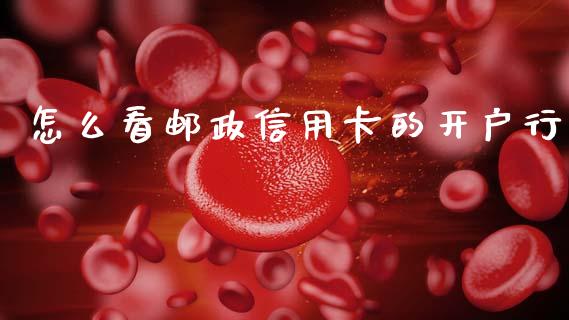 怎么看邮政信用卡的开户行_https://wap.hpmsj.cn_金融机构_第1张