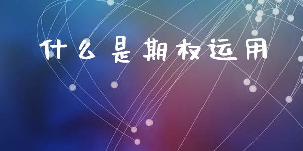 什么是期权运用_https://wap.hpmsj.cn_外汇汇率_第1张
