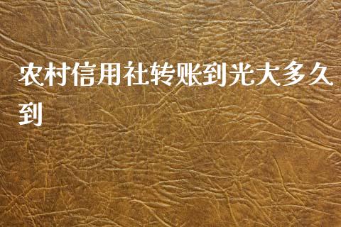 农村信用社转账到光大多久到_https://wap.hpmsj.cn_债券投资_第1张