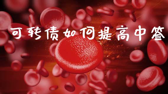 可转债如何提高中签_https://wap.hpmsj.cn_债券投资_第1张