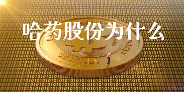 哈药股份为什么_https://wap.hpmsj.cn_金融机构_第1张