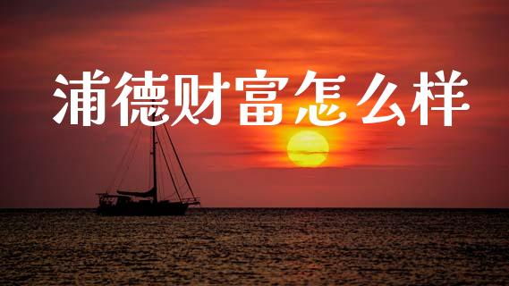 浦德财富怎么样_https://wap.hpmsj.cn_债券投资_第1张