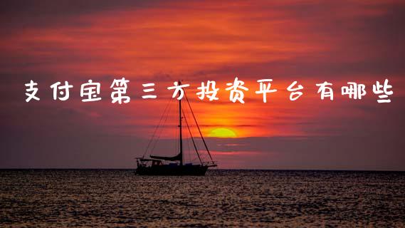 支付宝第三方投资平台有哪些_https://wap.hpmsj.cn_财经时评_第1张