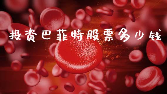 投资巴菲特股票多少钱_https://wap.hpmsj.cn_金融机构_第1张