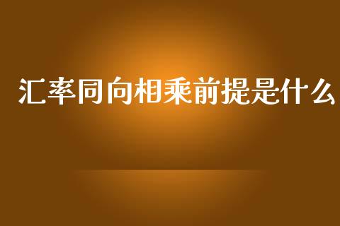 汇率同向相乘前提是什么_https://wap.hpmsj.cn_基金分析_第1张
