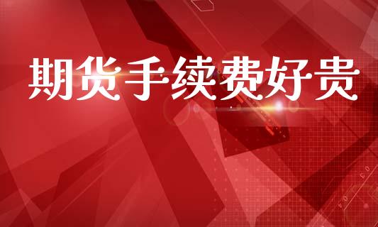 期货手续费好贵_https://wap.hpmsj.cn_金融机构_第1张