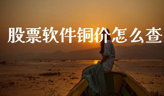 股票软件铜价怎么查_https://wap.hpmsj.cn_财经时评_第1张