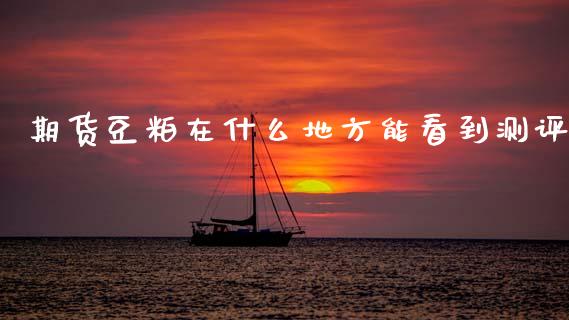 期货豆粕在什么地方能看到测评_https://wap.hpmsj.cn_基金分析_第1张