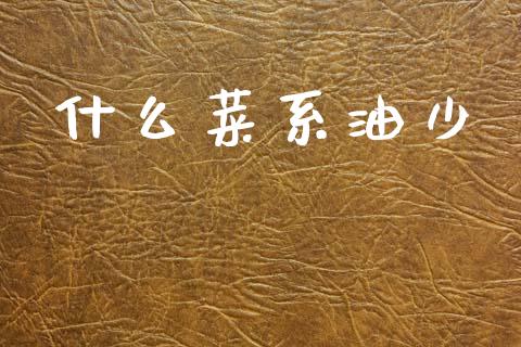 什么菜系油少_https://wap.hpmsj.cn_外汇汇率_第1张