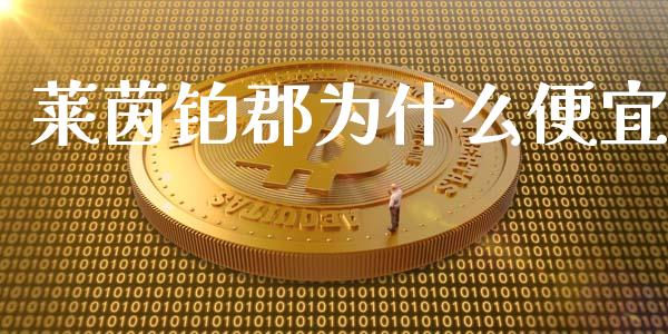 莱茵铂郡为什么便宜_https://wap.hpmsj.cn_基金分析_第1张
