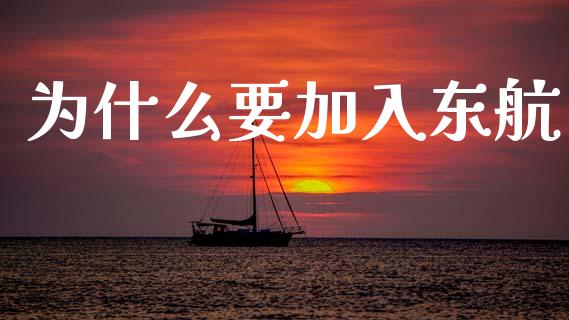 为什么要加入东航_https://wap.hpmsj.cn_债券投资_第1张