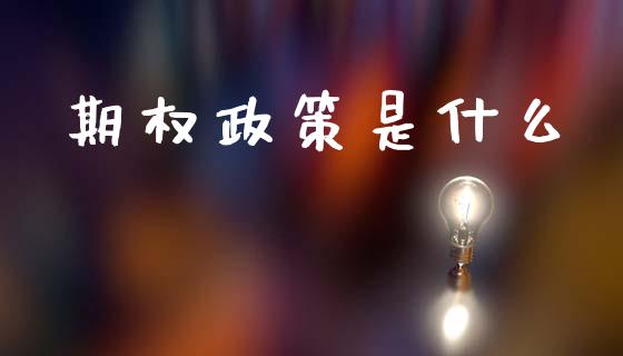 期权政策是什么_https://wap.hpmsj.cn_债券投资_第1张