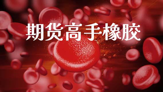 期货高手橡胶_https://wap.hpmsj.cn_外汇汇率_第1张