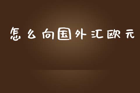 怎么向国外汇欧元_https://wap.hpmsj.cn_财经时评_第1张