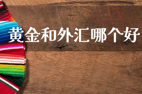 黄金和外汇哪个好_https://wap.hpmsj.cn_金融机构_第1张
