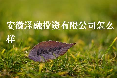 安徽泽融投资有限公司怎么样_https://wap.hpmsj.cn_金融机构_第1张
