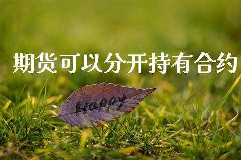期货可以分开持有合约_https://wap.hpmsj.cn_基金分析_第1张