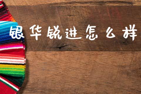 银华锐进怎么样_https://wap.hpmsj.cn_期货交易_第1张