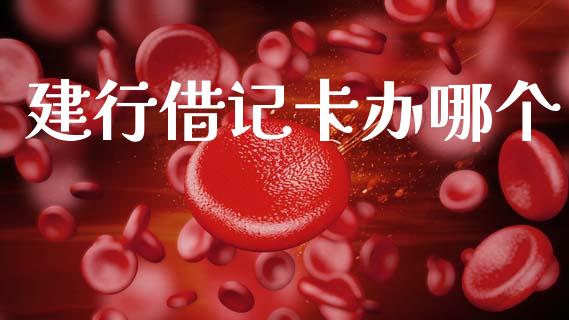 建行借记卡办哪个_https://wap.hpmsj.cn_外汇汇率_第1张