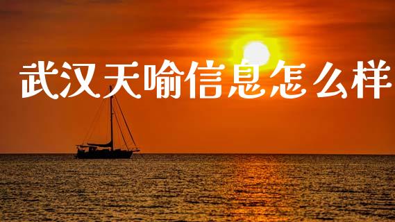 武汉天喻信息怎么样_https://wap.hpmsj.cn_金融机构_第1张