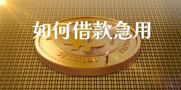 如何借款急用_https://wap.hpmsj.cn_外汇汇率_第1张