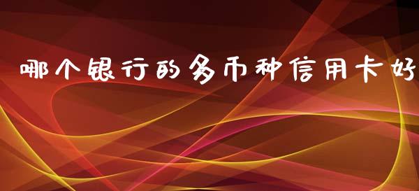哪个银行的多币种信用卡好_https://wap.hpmsj.cn_外汇汇率_第1张