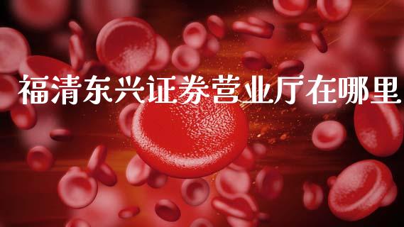 福清东兴证券营业厅在哪里_https://wap.hpmsj.cn_财经时评_第1张