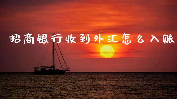 招商银行收到外汇怎么入账_https://wap.hpmsj.cn_债券投资_第1张