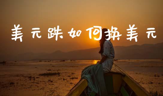 美元跌如何换美元_https://wap.hpmsj.cn_财经时评_第1张