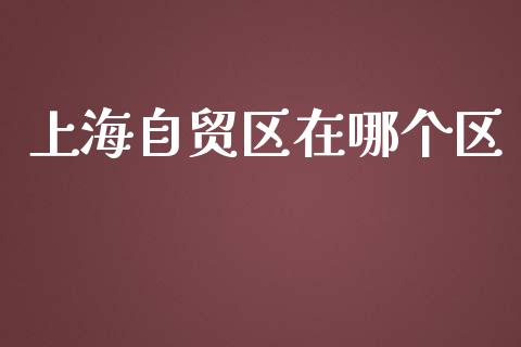 上海自贸区在哪个区_https://wap.hpmsj.cn_期货交易_第1张