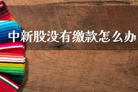 中新股没有缴款怎么办_https://wap.hpmsj.cn_金融机构_第1张