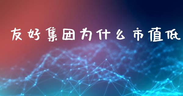 友好集团为什么市值低_https://wap.hpmsj.cn_财经时评_第1张