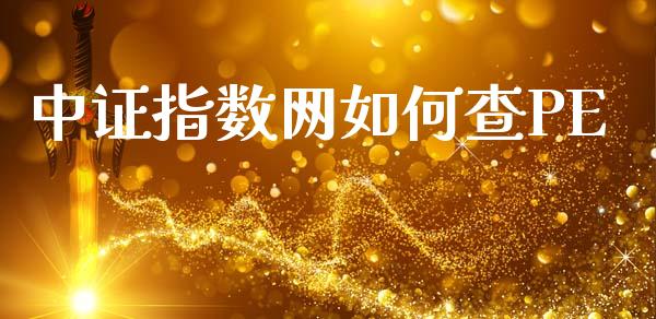 中证指数网如何查PE_https://wap.hpmsj.cn_债券投资_第1张