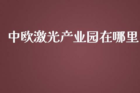 中欧激光产业园在哪里_https://wap.hpmsj.cn_财经时评_第1张