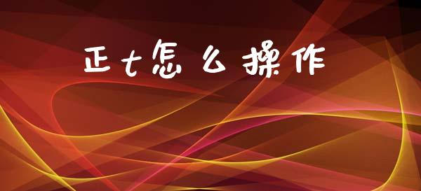 正t怎么操作_https://wap.hpmsj.cn_外汇汇率_第1张
