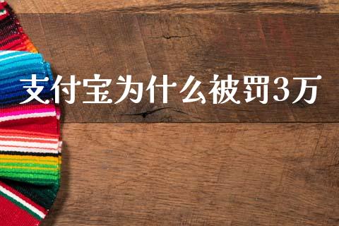 支付宝为什么被罚3万_https://wap.hpmsj.cn_外汇汇率_第1张