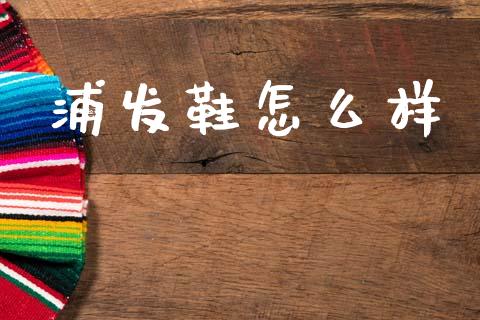 浦发鞋怎么样_https://wap.hpmsj.cn_债券投资_第1张