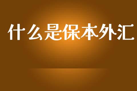 什么是保本外汇_https://wap.hpmsj.cn_外汇汇率_第1张